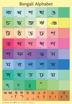 learn bengali pdf